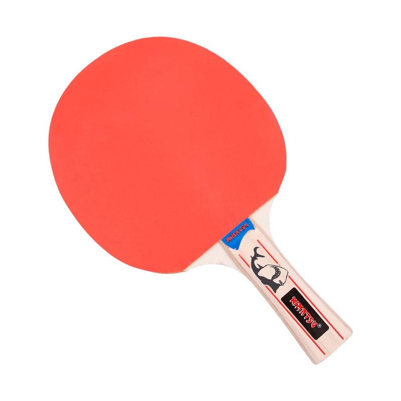 Paleta-Pingpong-Tiempo-Entrenamiento