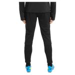 Pantalon-Hombre-Puma-Teamliga-Training