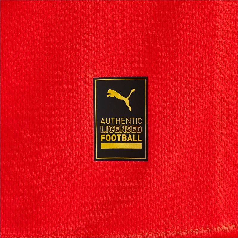 Camiseta Oficial Hombre Puma Independiente 2024 On Sports