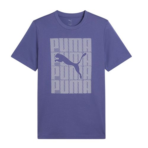 Remera Hombre Puma Graphics Puma Wording