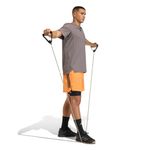 KA1197-5.jpg