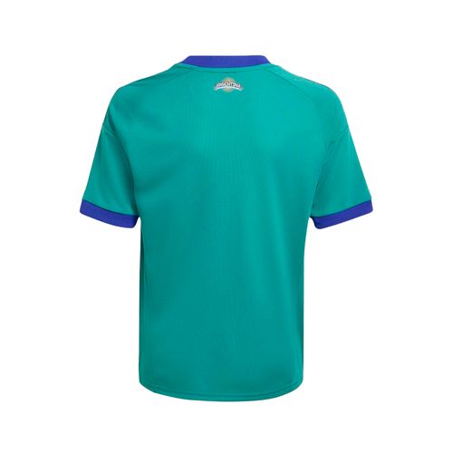 Camiseta Arquero Suplente Niños adidas AFA Selección Argentina