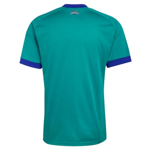 Camiseta Suplente Arquero Hombre adidas AFA Selección Argentina