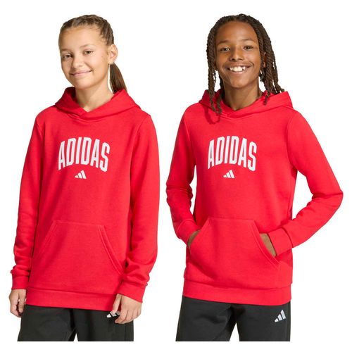 Buzo Ninos Adidas College Graphic
