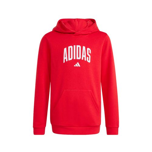 Buzo Niños adidas College Graphic