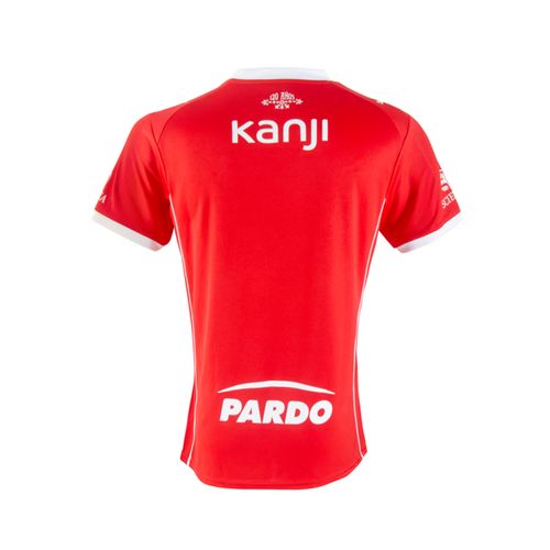 Camiseta Niños Puma Independiente
